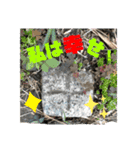 ベースポイントスタンプ！（個別スタンプ：5）