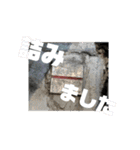 ベースポイントスタンプ！（個別スタンプ：21）
