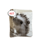 ハリネズミ（よく使う言葉）（個別スタンプ：1）