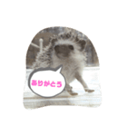 ハリネズミ（よく使う言葉）（個別スタンプ：3）