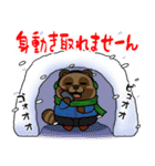 太っちょたぬき【冬】（個別スタンプ：10）