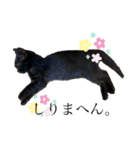 黒猫ナッツ（個別スタンプ：3）