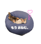 ぼぶスタ2020（個別スタンプ：2）