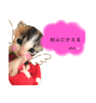 ぼぶスタ2020（個別スタンプ：6）
