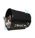 ぼぶスタ2020（個別スタンプ：8）