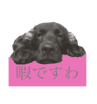 紡とカエちゃん（個別スタンプ：25）