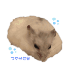 SABONくんのすたんぷ（個別スタンプ：3）