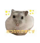 SABONくんのすたんぷ（個別スタンプ：5）