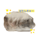 SABONくんのすたんぷ（個別スタンプ：8）