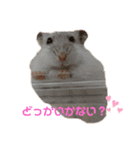 SABONくんのすたんぷ（個別スタンプ：11）