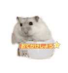 SABONくんのすたんぷ（個別スタンプ：12）