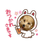日常生活のテト（個別スタンプ：4）