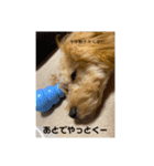 日常生活のテト（個別スタンプ：12）