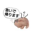 チビティラの日々(ご飯のおねがい)（個別スタンプ：3）