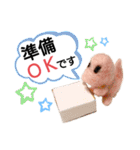 チビティラの日々(ご飯のおねがい)（個別スタンプ：9）