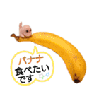 チビティラの日々(ご飯のおねがい)（個別スタンプ：27）