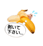 チビティラの日々(ご飯のおねがい)（個別スタンプ：28）
