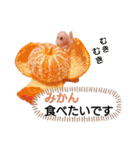 チビティラの日々(ご飯のおねがい)（個別スタンプ：31）