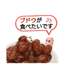 チビティラの日々(ご飯のおねがい)（個別スタンプ：32）
