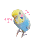 ぷーちゃん 1（個別スタンプ：7）