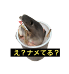 まみーファミリア（個別スタンプ：4）
