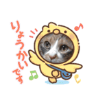 三毛猫のあずきちゃん（個別スタンプ：30）