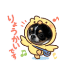 anjewel vol  7 チワワ（個別スタンプ：9）