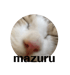 こむぎちゃんといっしょ  その2（個別スタンプ：20）