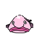 しゅうまちゃんすたんぷ（個別スタンプ：4）