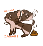 イラスト風 チワワ（個別スタンプ：6）