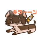 イラスト風 チワワ（個別スタンプ：8）