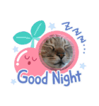 ミーちゃん stamp（個別スタンプ：2）