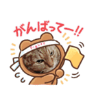ミーちゃん stamp（個別スタンプ：5）