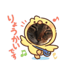 ミーちゃん stamp（個別スタンプ：8）