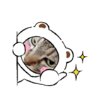 ミーちゃん stamp（個別スタンプ：16）