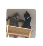 おおさか家（個別スタンプ：5）