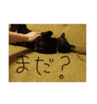 おおさか家（個別スタンプ：9）