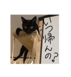 おおさか家（個別スタンプ：10）