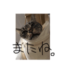 おおさか家（個別スタンプ：24）