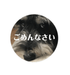 もじゃもじゃもじお（個別スタンプ：11）