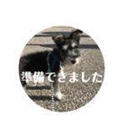 もじゃもじゃもじお（個別スタンプ：16）