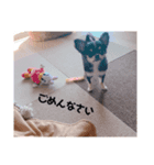望愛ちゃん(noah（個別スタンプ：5）