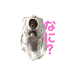 田舎の生活（個別スタンプ：1）