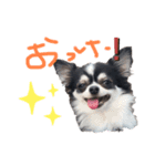 るみんこる（個別スタンプ：2）