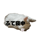 こゆきと一緒（個別スタンプ：7）