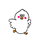 White bird everyday ！！（個別スタンプ：10）