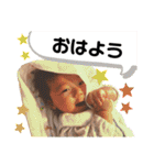 なおき②（個別スタンプ：29）