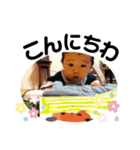 なおき②（個別スタンプ：30）