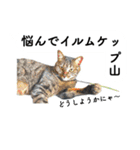 山に登りたい猫と動物たち（個別スタンプ：9）