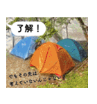 山に登りたい猫と動物たち（個別スタンプ：10）